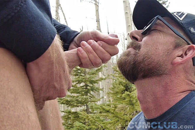 Colorado Cum Swap: Remastered Image