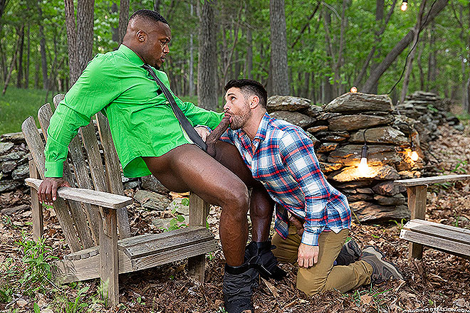 The Territory 4 Image