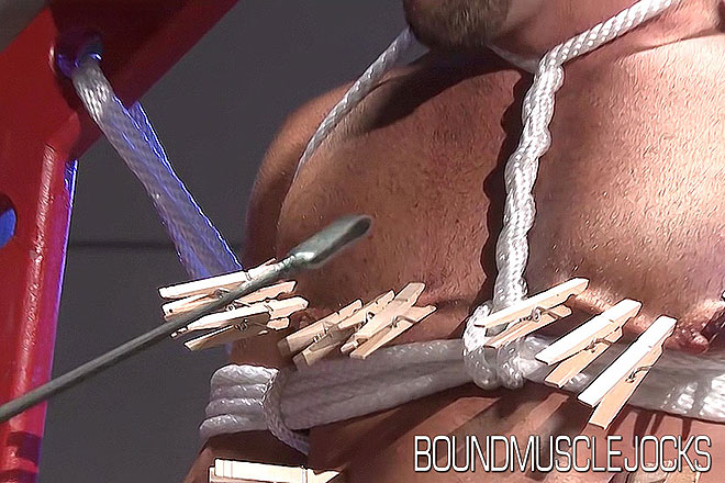 Jessie & Dire Callahan Image