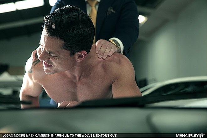 Jungle: To The Wolves, Editor's Cut Image