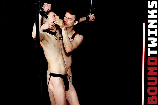 Tyler Tanner & Andrew Bolt Encounter 2 Image