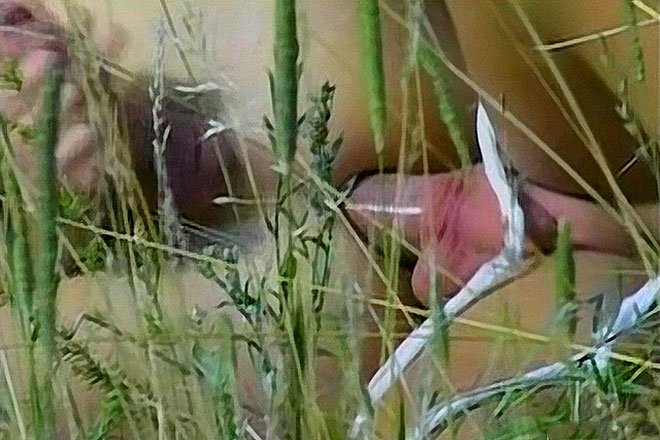 Mano & Gabor Fuck In The Woods Image