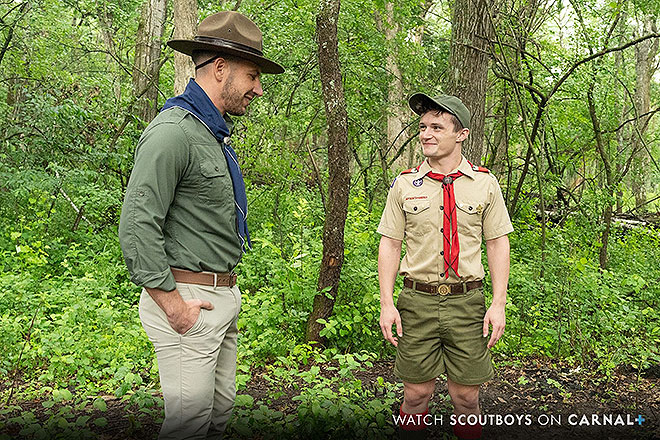 Image from Collecting Wood Scout Grant Vol. 1 blog