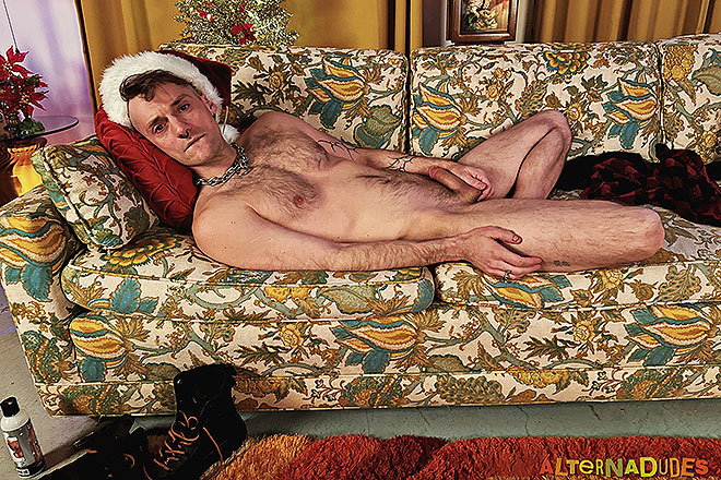 A Present Under the Tree Image