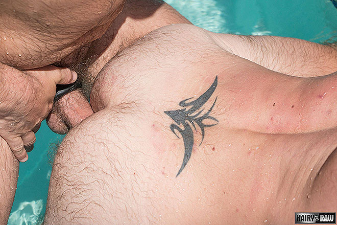 Bone, Sailor & Aiden Image