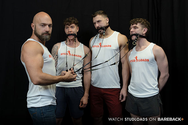 Image from Stable Master Stud Loads Vol. 7 blog