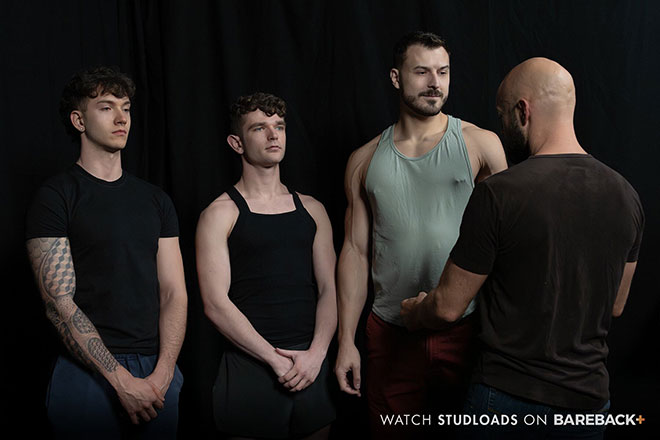 Stable Master Stud Loads Vol. 7 Image