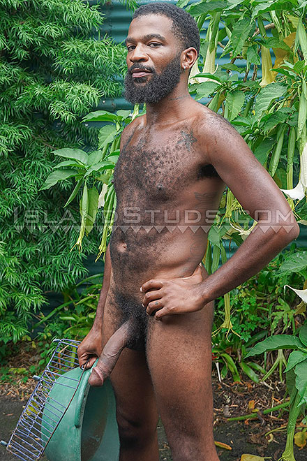 10” x 7” BBD Total Top Fashion Dandy Langston Image