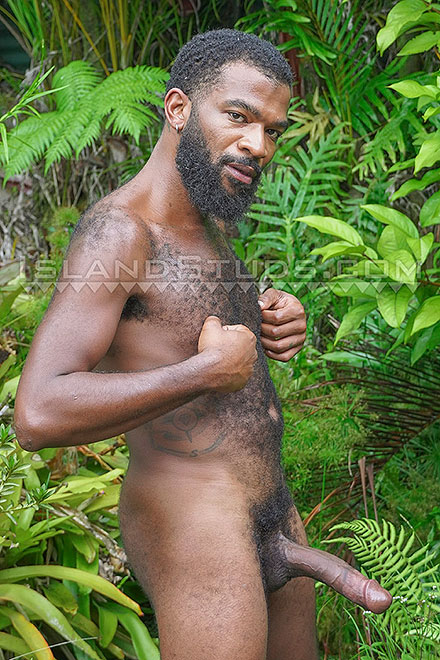 10” x 7” BBD Total Top Fashion Dandy Langston Image