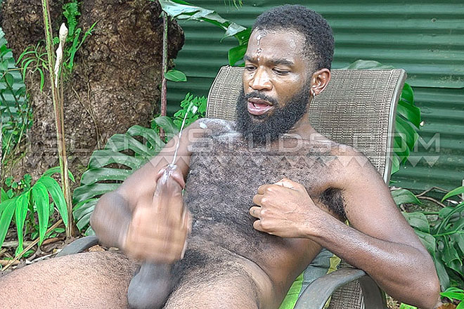 10” x 7” BBD Total Top Fashion Dandy Langston Image