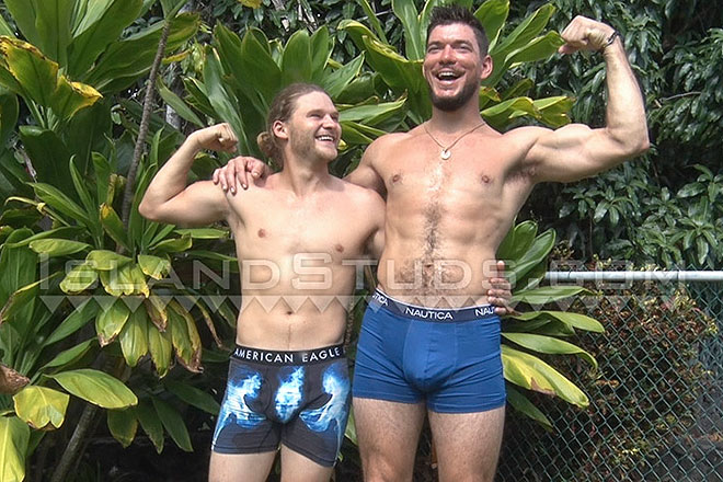 Aloha Island Studs Affiliate!  Hockey is Chilly. Image