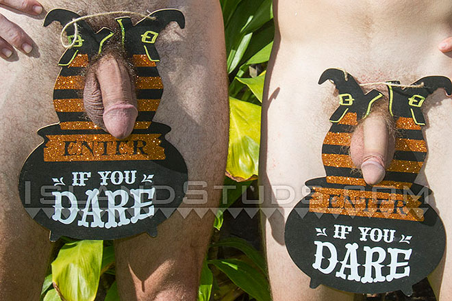 Aloha Island Studs Affiliate!  Hockey is Chilly. Image