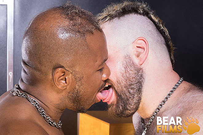 Big Daddy Breeder & Teddy Johnston Image