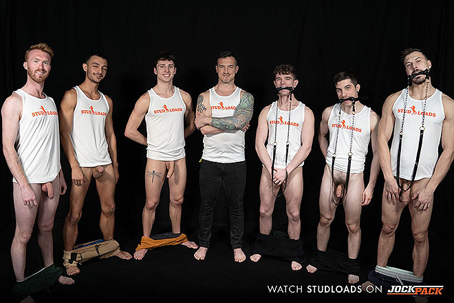 Stud Loads Image