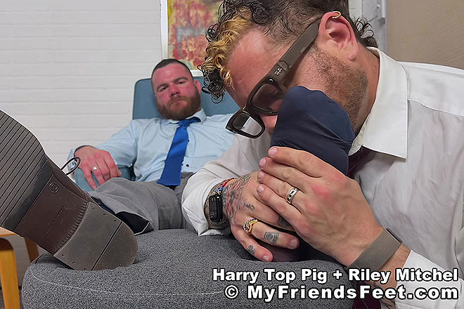 Riley & Harry Top Pig Image
