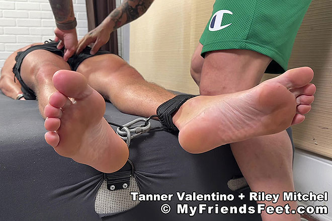 Tanner V Tickled Image
