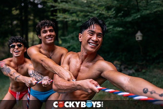 CAMP COCKYBOYS: ORGY Image