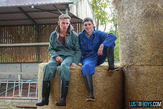 Image from Hard Working Boy On The Farm blog
